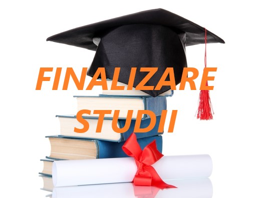 Finalizare Studii